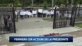 FOTO/VIDEO: Cine sunt agricultorii care au protestat la președinție. Vicepreședinte socialist și un șef de direcție, prezenți la manifestație